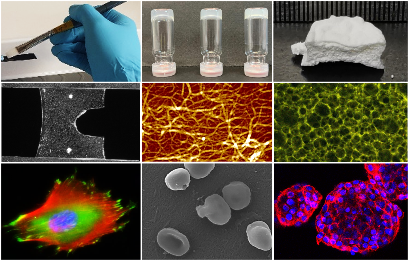 IRIS_research_image mosaic